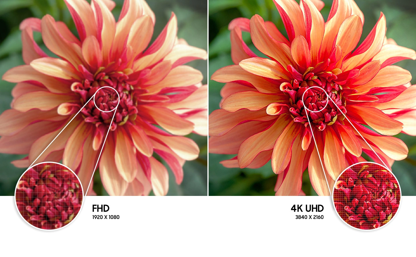 HU800-B02.png